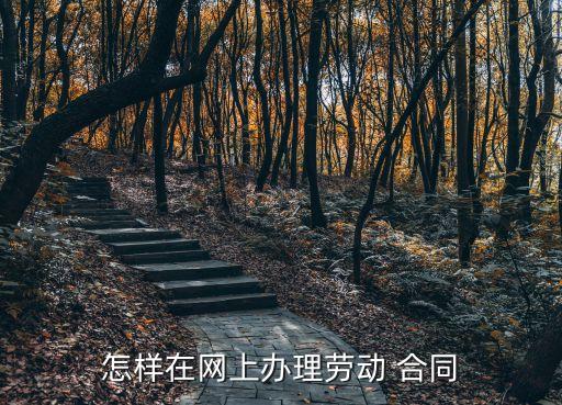 電子合同怎么申請(qǐng),法大大電子合同申請(qǐng)出證