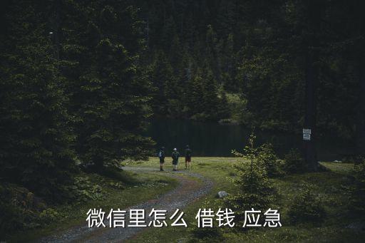  微信里怎么 借錢 應(yīng)急