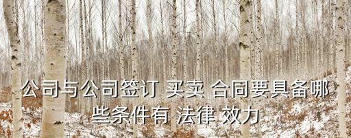 公司與公司簽訂 買賣 合同要具備哪些條件有 法律 效力