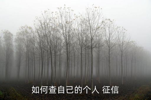 如何查自己的個(gè)人 征信