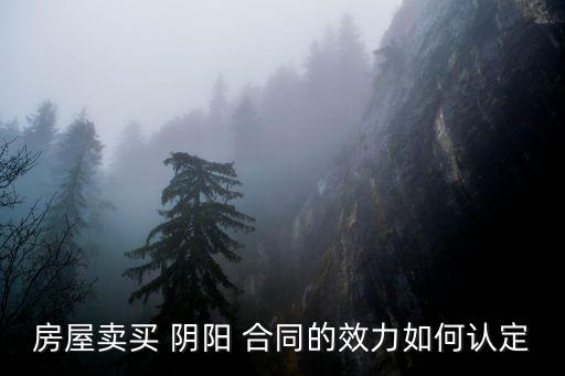 陰陽合同法律上怎么判定,雙方簽訂陰陽合同的法律后果