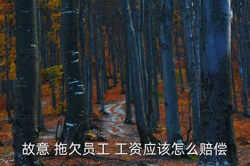 惡意拖欠工資怎么處理,50元搞定欠錢不還