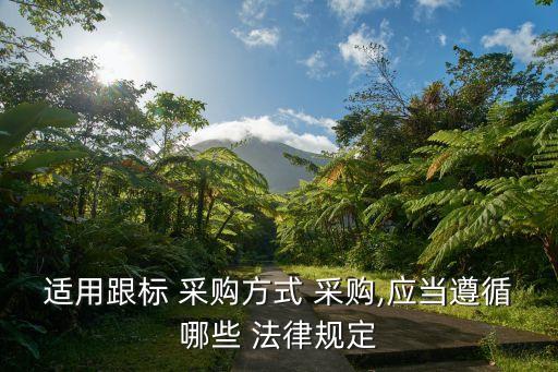 適用跟標(biāo) 采購方式 采購,應(yīng)當(dāng)遵循哪些 法律規(guī)定