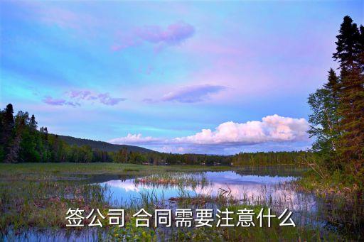 簽公司 合同需要注意什么