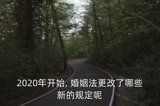 民法典婚姻法改革