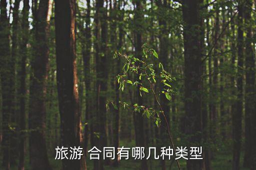  旅游 合同有哪幾種類型