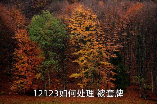 12123如何處理 被套牌