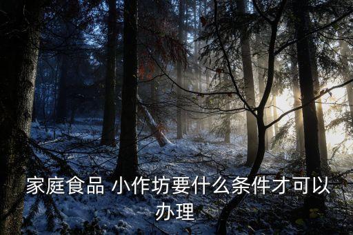  家庭食品 小作坊要什么條件才可以辦理