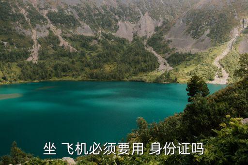 沒帶身份證可以坐飛機(jī)嗎,買了機(jī)票沒帶身份證可以坐飛機(jī)嗎