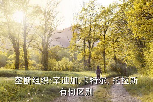 反托拉斯,利益平衡理論 美國法院在涉外的反托拉斯