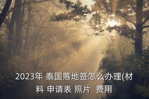 泰國(guó)簽證費(fèi)用,國(guó)內(nèi)泰國(guó)簽證費(fèi)用