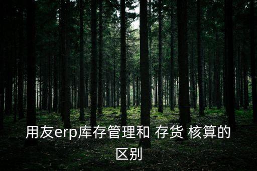 用友erp庫存管理和 存貨 核算的區(qū)別