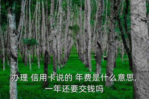 信用卡年費是怎么回事,銀行信用卡年費不交會怎么樣