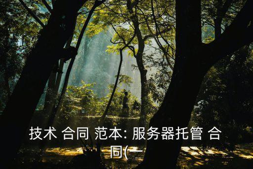 技術(shù) 合同 范本: 服務(wù)器托管 合同(一