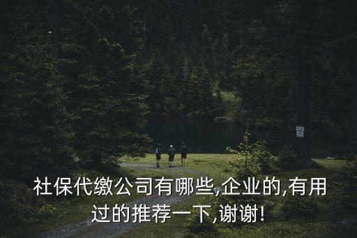  社保代繳公司有哪些,企業(yè)的,有用過(guò)的推薦一下,謝謝!