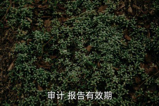 審計 報告有效期
