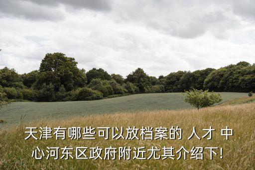  天津有哪些可以放檔案的 人才 中心河?xùn)|區(qū)政府附近尤其介紹下!