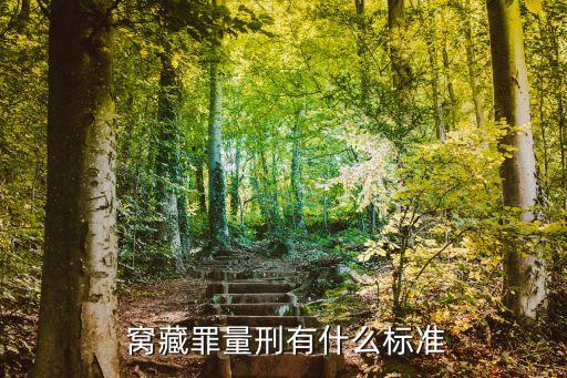  窩藏罪量刑有什么標(biāo)準(zhǔn)