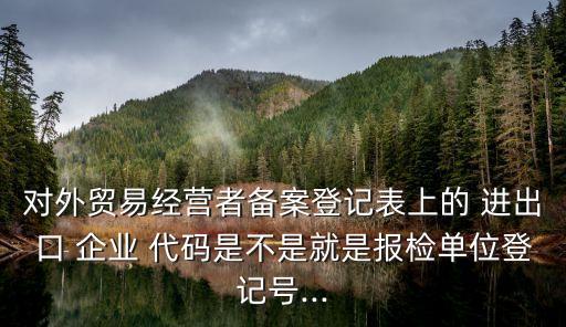 對外貿易經營者備案登記表上的 進出口 企業(yè) 代碼是不是就是報檢單位登記號...