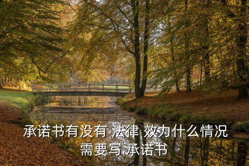 承諾書有沒有 法律 效力什么情況需要寫 承諾書