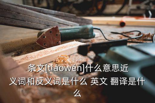 法律條文的英文翻譯