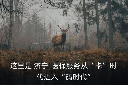 這里是 濟(jì)寧| 醫(yī)保服務(wù)從“卡”時代進(jìn)入“碼時代”