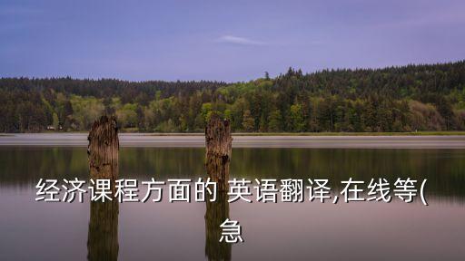 經(jīng)濟(jì)課程方面的 英語翻譯,在線等(急