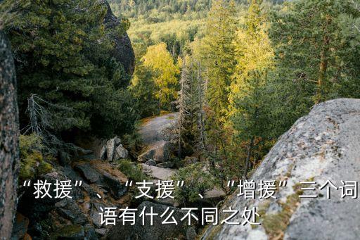 “救援”、“支援”、“增援”三個詞語有什么不同之處