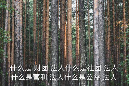 什么是 財團(tuán) 法人什么是社團(tuán) 法人什么是營利 法人什么是公益 法人