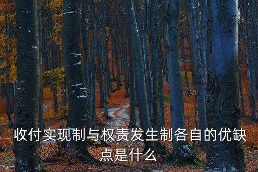 收付實現(xiàn)制