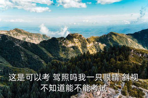 這是可以考 駕照嗎我一只眼睛 斜視不知道能不能考試