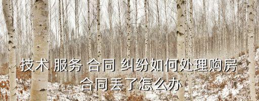 技術(shù) 服務(wù) 合同 糾紛如何處理購(gòu)房 合同丟了怎么辦