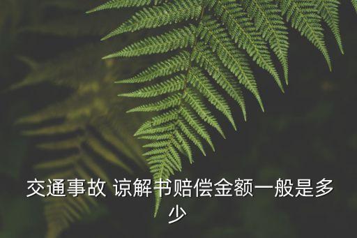  交通事故 諒解書賠償金額一般是多少