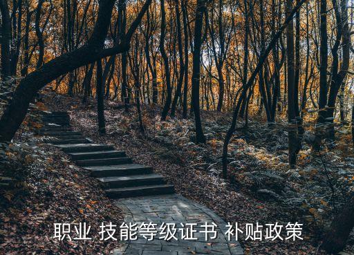  職業(yè) 技能等級證書 補(bǔ)貼政策