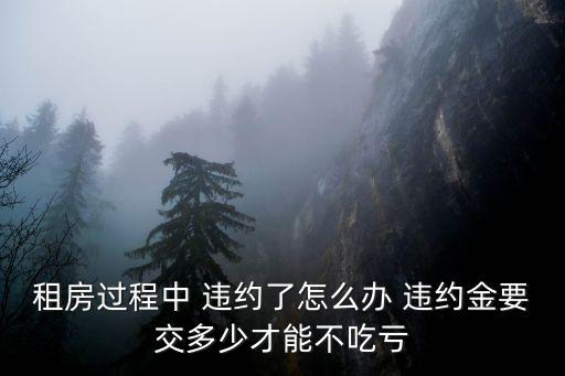 房屋租賃合同違約押金怎么處理