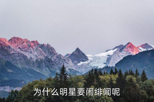 誹聞,緋聞是什么意思