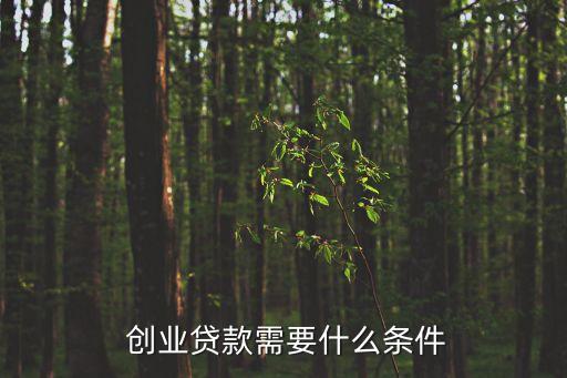  創(chuàng)業(yè)貸款需要什么條件
