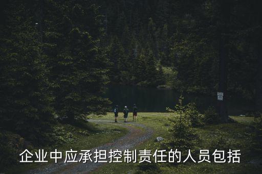 企業(yè)中應(yīng)承擔(dān)控制責(zé)任的人員包括