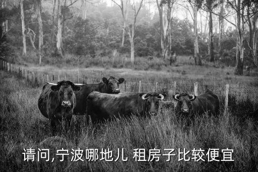 鎮(zhèn)海租房