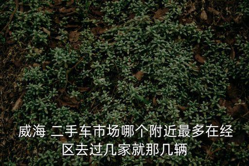 威海二手車