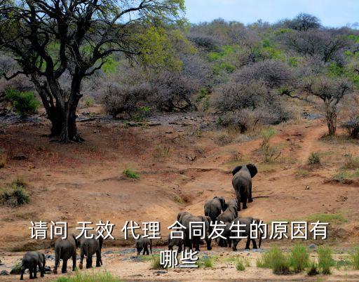 請問 無效 代理 合同發(fā)生的原因有哪些