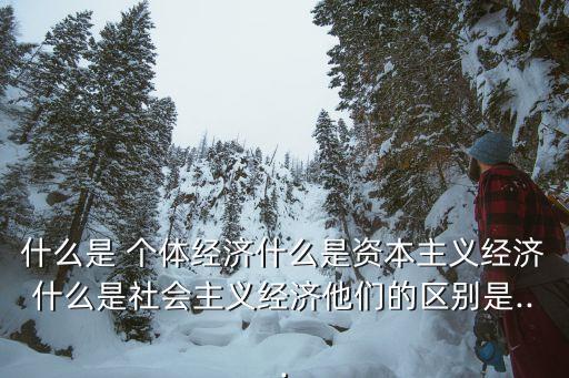 個(gè)體經(jīng)濟(jì)