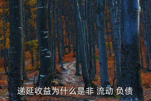 遞延收益為什么是非 流動(dòng) 負(fù)債