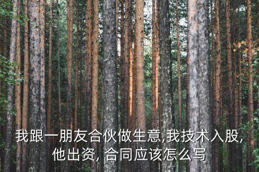 我跟一朋友合伙做生意,我技術(shù)入股,他出資, 合同應(yīng)該怎么寫