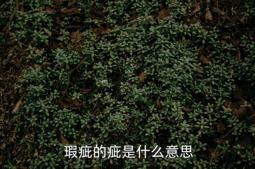  瑕疵的疵是什么意思