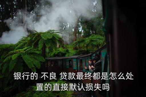  銀行的 不良 貸款最終都是怎么處置的直接默認(rèn)損失嗎