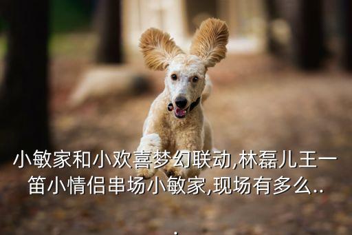 王一迪