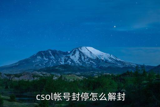 csol封號查詢,CSOL材料車封號