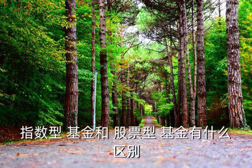 指數(shù)型 基金和 股票型 基金有什么區(qū)別