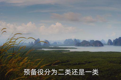  預(yù)備役分為二類(lèi)還是一類(lèi)